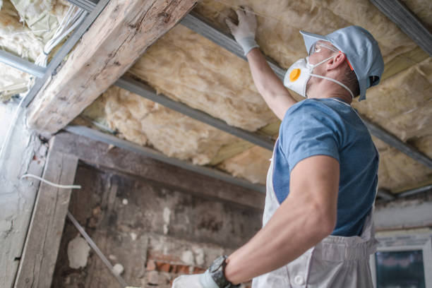Best Commercial Insulation in Tignall, GA