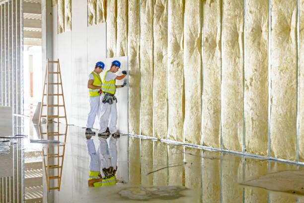 Best Commercial Insulation in Tignall, GA